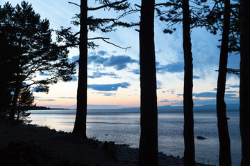 Silhouettes of trees on the shore of Baikal Lake in the predawn hour. Beautiful early morning seascape. Natural background. Summer travel and outdoor recreation
