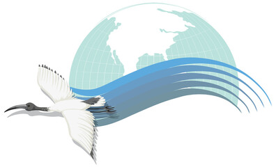 Stork bird flying on earth planet