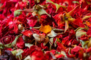 Macro close up background texture of dry rose petals
