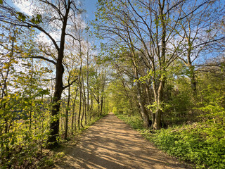 Bavarian Landscape with road to nowhere and blue sky background