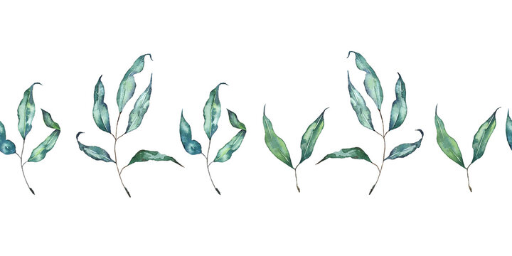 Realistic green grass, leaves, plant branches watercolor set. Various types of field grass, a collection of wild grass elements. Hand-painted parts of botanical plants 