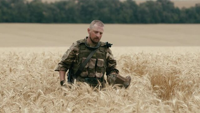 A Ukrainian soldier in motion, walking through a wheat field, dressed in camouflage and a helmet with weapons in his hands, looking ahead. The military enjoys nature. The Concept of War and Peace
