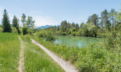 Fototapeta na wymiar footpath along Loisach river, moor landscape near Benediktbeuern, bavaria