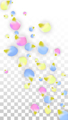 Vector Realistic Colorful Petals Falling on Transparent Background.  Spring Romantic Flowers Illustration. Flying Petals. Sakura Spa Design. Blossom Confetti. Design Elements for Wedding Decoration.