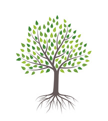 Tree with green leaves and roots. Isolated on white background. Flat style, vector illustration. 
