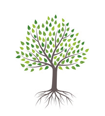 Naklejka premium Tree with green leaves and roots. Isolated on white background. Flat style, vector illustration. 
