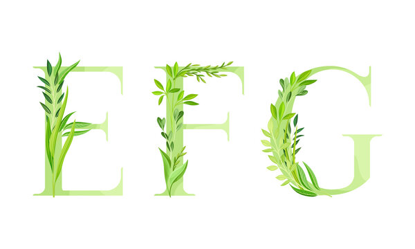Ecology english alphabet letters. Green leaves font. E,F,C letters cartoon vector illustration