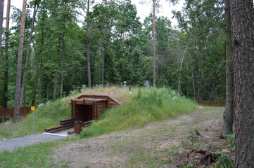 Fototapeta premium military dugout in the forest