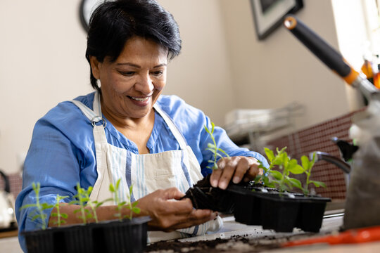 Low angle view of smiling biracial mature woman with short hair planting saplings in seedling tray
