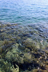 Naklejka na ściany i meble Transparent sea surface with stones on a bottom, vertical shot. Turquoise water for background