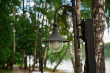 Decorative street lamp in the park close-up.