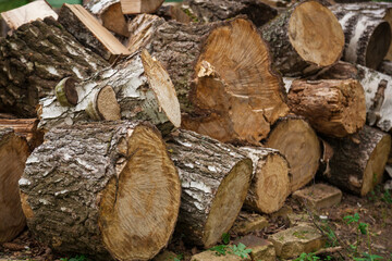 Sawn logs are randomly stacked in a pile. The cuts are stacked randomly, close-up. Sawn logs lie in a pile.