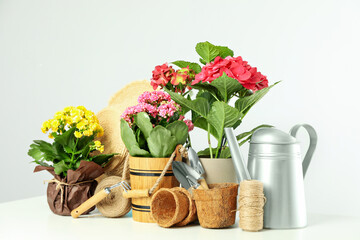 Gardening tools and accessories on white table against light gray background