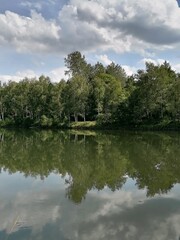 Fototapeta na wymiar lake in the forest