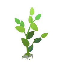 Seedling garden plants with roots. Sowing agricultural material. Isolated on white background. Single object icon. Vector