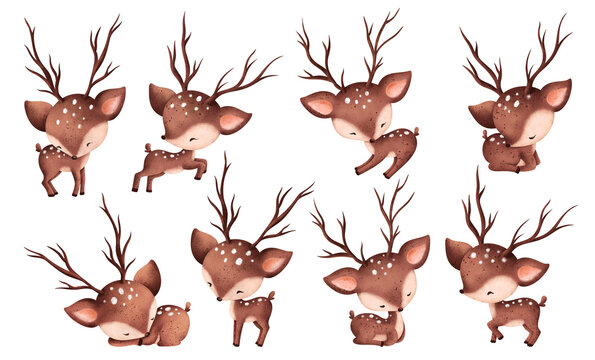 Watercolor illustration set of baby deers