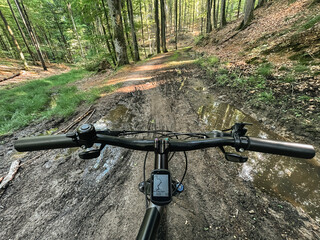 First-person riding a bike in the woods after the rain. MTB race in the forest. Concept of having leisure time outdoors. Rural adventures in the summer