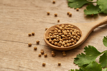 close up dry coriander seed spice in wooden spoon and leaf or leaves on wood table background with copy space