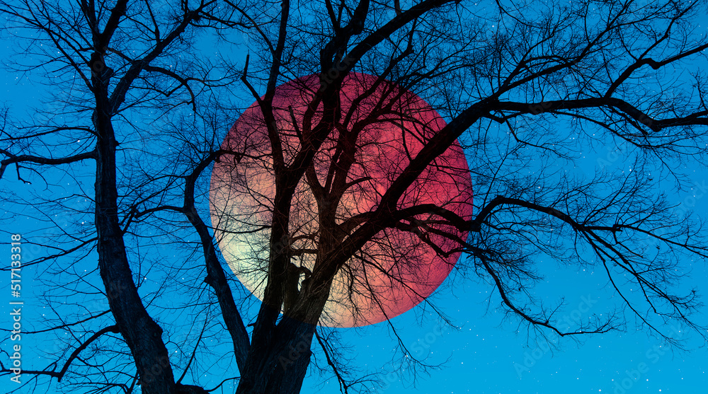 Poster beautiful landscape with lone tree and silhouete of birds on the background full moon iat twilight b