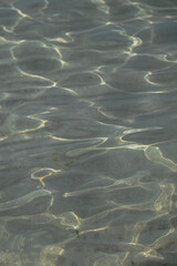 surface