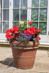 Weathered terracotta planter with red, white and blue flowers.