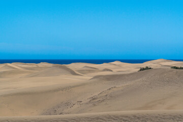 Sand dunes, Gran Canaria