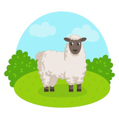 Obraz na płótnie Canvas Sheep on the background of grass and sky