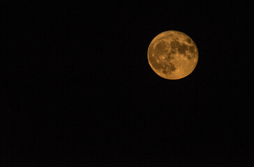 Obraz premium moon, night, sky, full, space, astronomy, crater, dark, light, moonlight super moon
