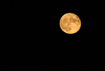 Fototapeta na wymiar moon, night, sky, full, space, astronomy, crater, dark, light, moonlight super moon