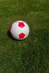 Plakat Soccer ball on green grass of football field with copy space