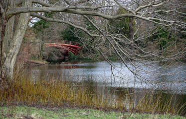 Landscape with the tree and red bridge - Charlottenburg Park, Berlin, Germany