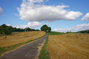 Obraz premium Harvested grain field with round bales of straw under blue cloudy sky.