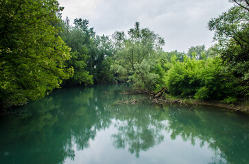 Alcuni alberi si riflettono in un'ansa del fiume Sile lungo la Via Postumia, cammino che parte da Aquileia e arriva a Genova
