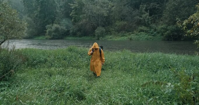 Heavy rain, hiker in a yellow raincoat with a backpack in the tall grass next to the river. The concept of backpacking, lifestyle, hike, extreme hobbies and travel