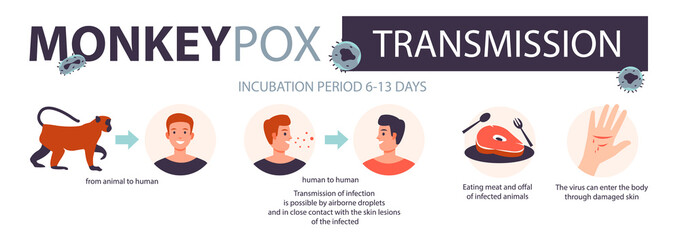 Fototapeta premium Monkeypox virus transmission. The spread of the epidemic. Virus epidemic outbreak. Flat vector illustration