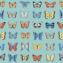 Butterfly collection vector seamless pattern