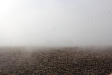 dans la brume