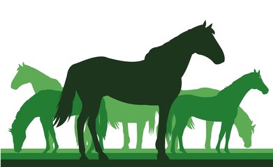 Horses are grazing. Picture silhouette. Farm pets. Animals domestic traditional. Isolated on white background. Vector Goat with kid near the herd