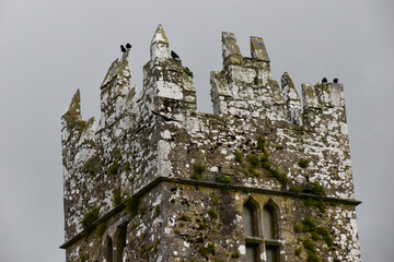 Kylmore Abbey school and garden in Ireland