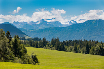 Fototapeta na wymiar Alpine landscape with green fields and snowy peaks