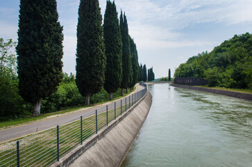 Fototapeta na wymiar La pista ciclabile dell'Adige fra un canale e un filare di cipressi lungo la Via Postumia, cammino che parte da Aquileia e arriva a Genova