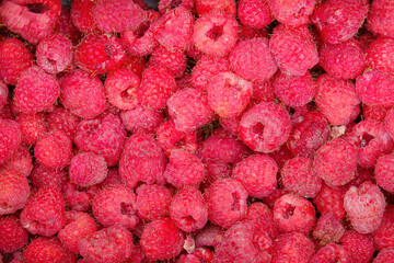 Fresh raspberry background.