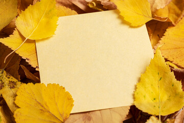 Autumn dry yellow leaves background. With copy space.