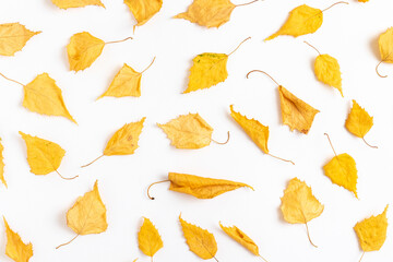 Naklejka premium Autumn yellow dry leaves background. Flat lay.