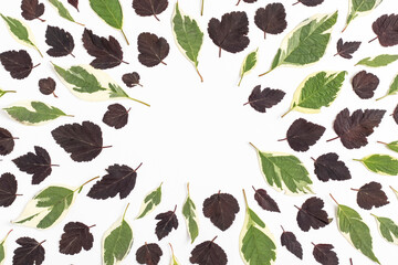 Autumn dry leaves background. Flat lay.