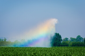 Il getto d'acqua di un irrigatore agricolo crea un arcobaleno quando è colpito dai raggi del sole