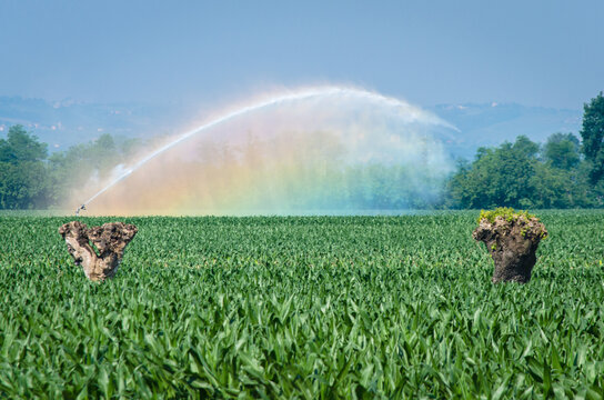 Il getto d'acqua di un irrigatore agricolo crea un arcobaleno quando &egrave; colpito dai raggi del sole
