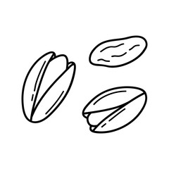 Hand drawn pistachio doodle. Nuts in sketch style.  Vector illustration isolated on white background.