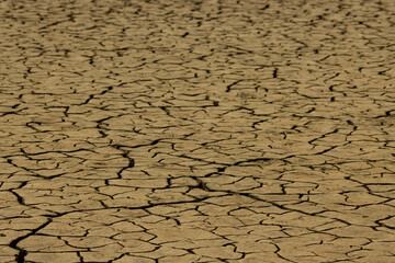 Dried up soild cracking due to the heat