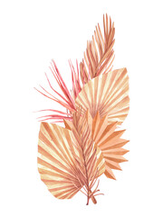 Dried tropical palm leaves set bouquets. Pastel watercolor floral template isolated collection for wedding wreath, bouquet frames, decoration design elements.